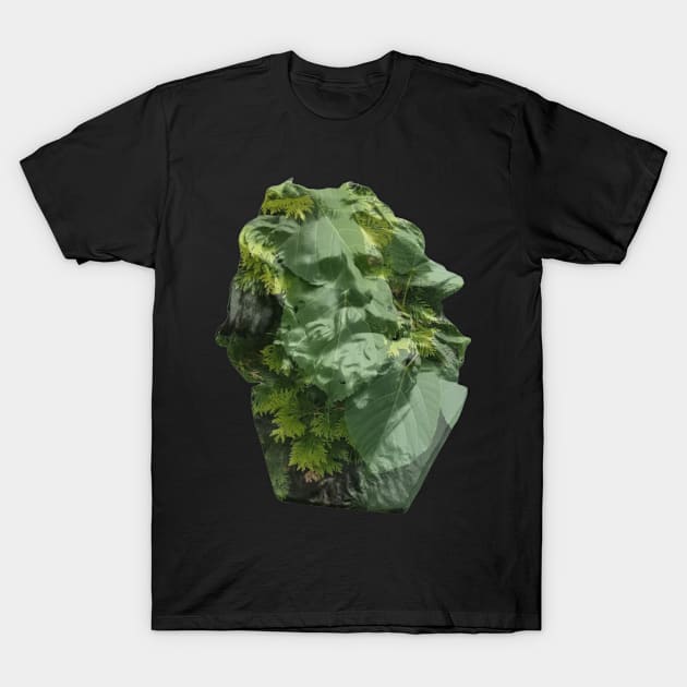 Philosopher of Nature T-Shirt by Geomhectic